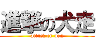 進撃の犬走 (attack on dog)