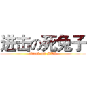 进击の死兔子 (attack on STZ)