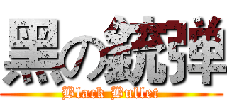 黑の銃弹 (Black Bullet)