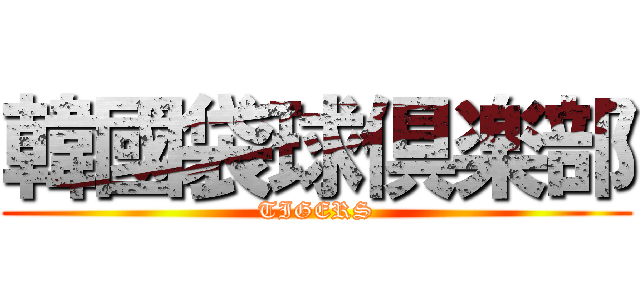 韓國袋球倶楽部 (TIGERS)