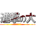 進撃の大 (しんげきのだい)