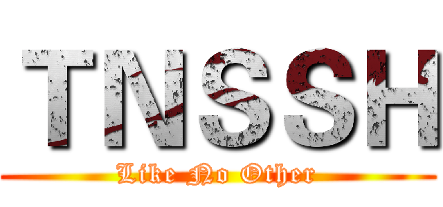 ＴＮＳＳＨ (Like No Other)
