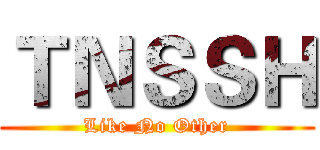 ＴＮＳＳＨ (Like No Other)