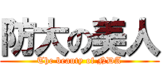 防大の美人 (The beauty of NDA)