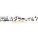 閃乱カグラやってる？ (SHINOVI VERSUS)