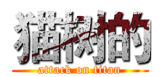 猫树的 (attack on titan)