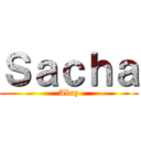 Ｓａｃｈａ (Abry)