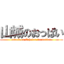 山城のおっぱい (attack on Echelon formation)