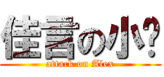 佳言の小屌 (attack on Alex)