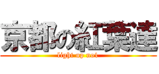 京都の紅葉達 (light up no1)