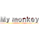 Ｍｙ ｍｏｎｋｅｙ (attack on titan)