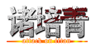 诸培青 (attack on titan)