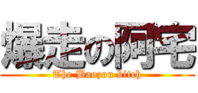 爆走の阿宅 (The Baozou bitch)