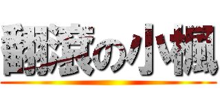翻滾の小楓 ()