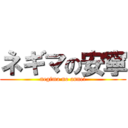 ネギマの安寧 (negima no annei)