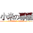 小米の專櫃 (SQUARE SHOP)