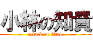 小林の知貴 (attack on titan)