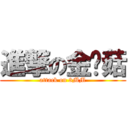 進撃の金针菇 (attack on 3MM)