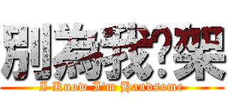 別為我吵架 (I Know I\'m Handsome)