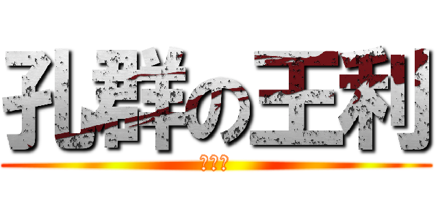 孔群の王利 (去死吧)