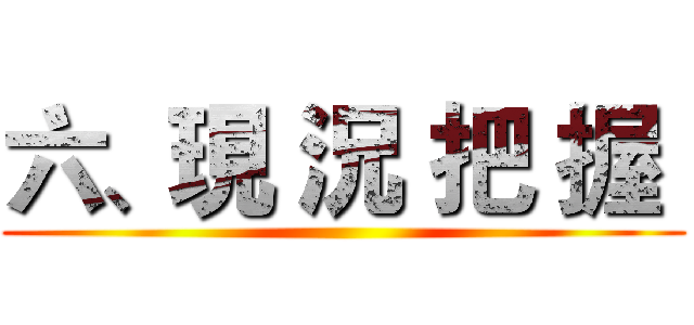 六、現 況 把 握  ()