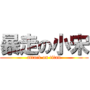 暴走の小宋 (attack on titan)