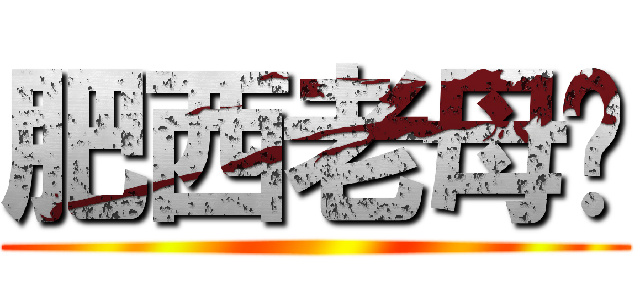 肥西老母雞 ()