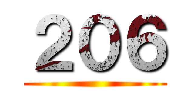 ２０６ ()