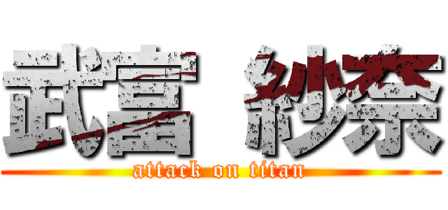 武富 紗奈 (attack on titan)