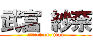 武富 紗奈 (attack on titan)