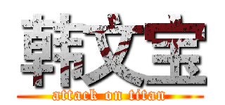 韩文宝 (attack on titan)