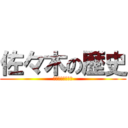 佐々木の歴史 (１８年間の思い出)