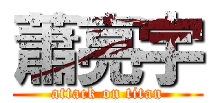 蕭亮宇 (attack on titan)