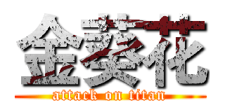 金葵花 (attack on titan)