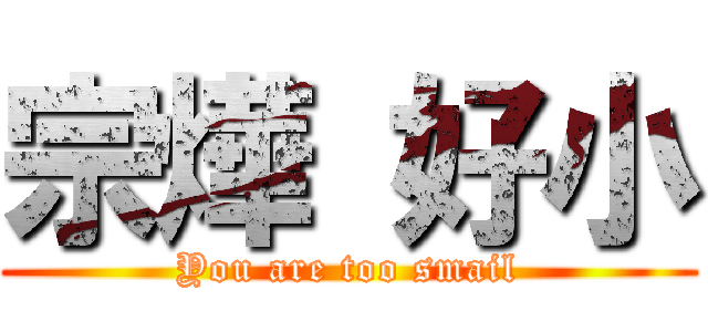 宗燁 好小 (You are too smail)