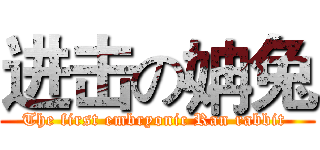 进击の姌兔 (The first embryonic Ran rabbit )