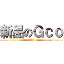 新品のＧｃｏ (３３－４)