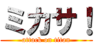 ミカサ！ (attack on titan)