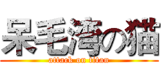 呆毛湾の猫 (attack on titan)