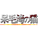 呆毛湾の猫 (attack on titan)