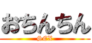 おちんちん (SEX)