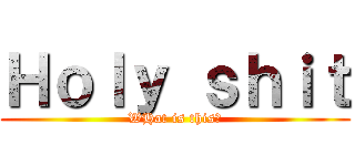 Ｈｏｌｙ ｓｈｉｔ (WHat is this?)