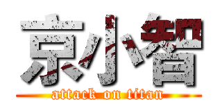 京小智 (attack on titan)