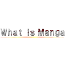 Ｗｈａｔ Ｉｓ Ｍａｎｇａ ()