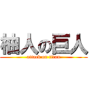 柚人の巨人 (attack on titan)