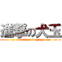 進撃の犬玉 (attack on dog egg)