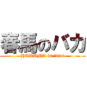 春馬のバカ (HARUMA is idiot)