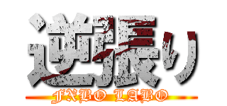 逆張り (FXBO LABO)