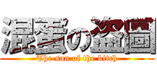 混蛋の盗圖 (The son of the bitch)