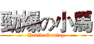 勁爆の小馬 (Habile Gaming)